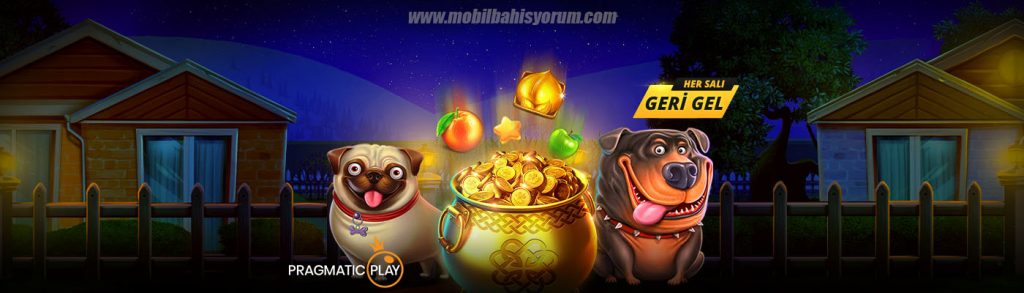 Mobilbahis Casino - Üyelik İşlemleri
